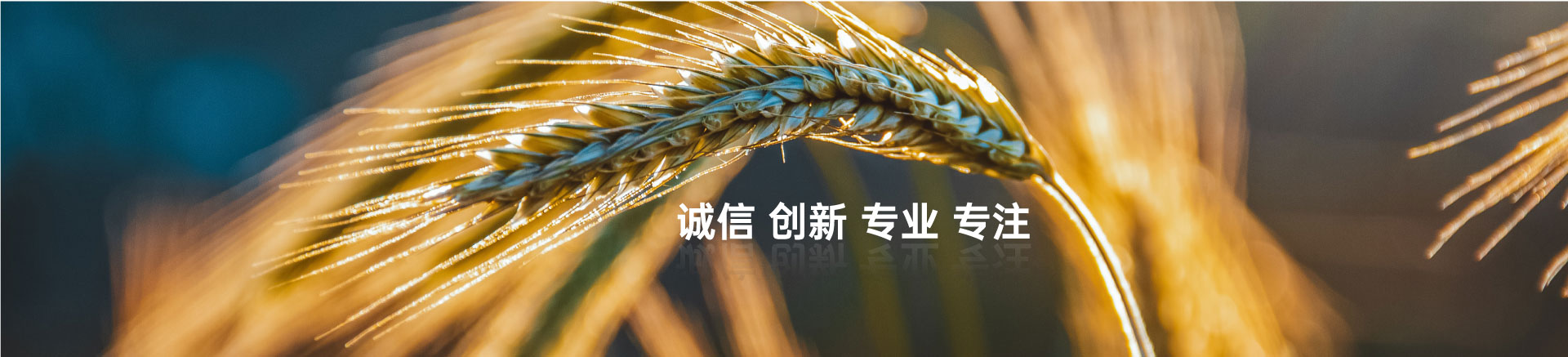 顧客至上，信譽第一