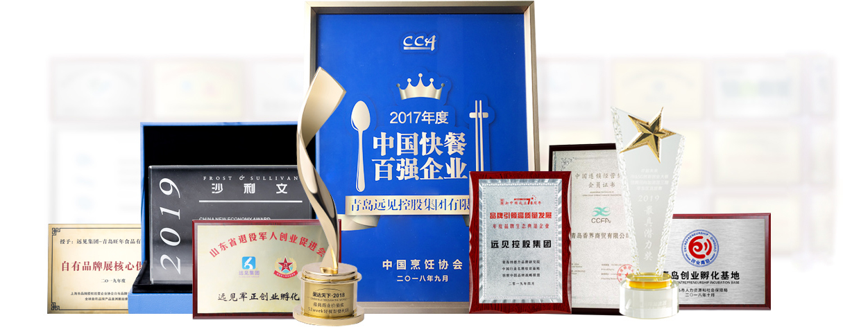 遠見集團榮譽資質(zhì)